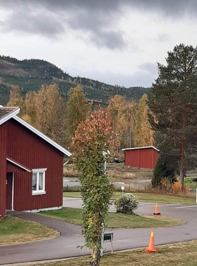 Bograngen Lgh D Leilighet Brograngen Eksteriør bilde