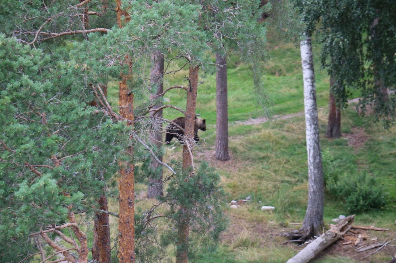 Bograngen Lgh D Leilighet Brograngen Eksteriør bilde